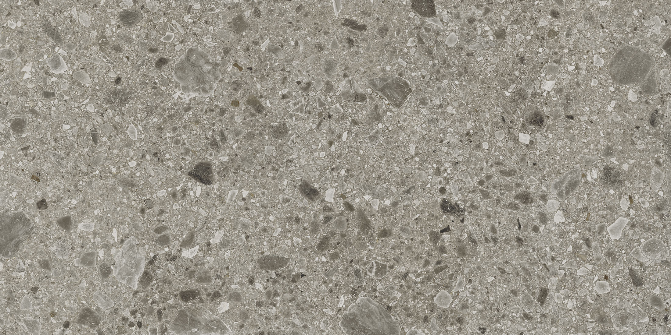 ISEO GRIS L1.jpg