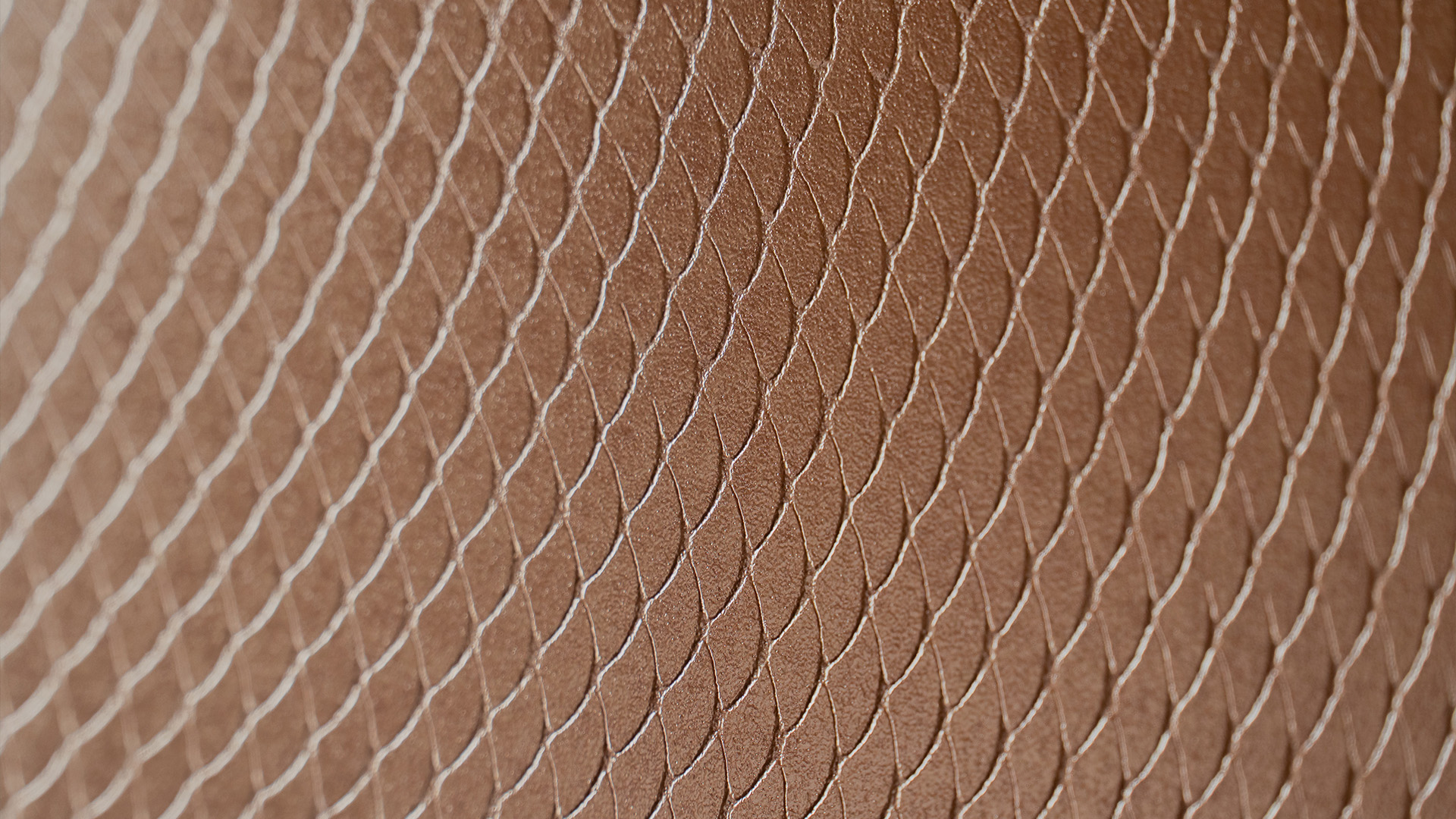 koibrey-cabecera-1760631253GPMSd